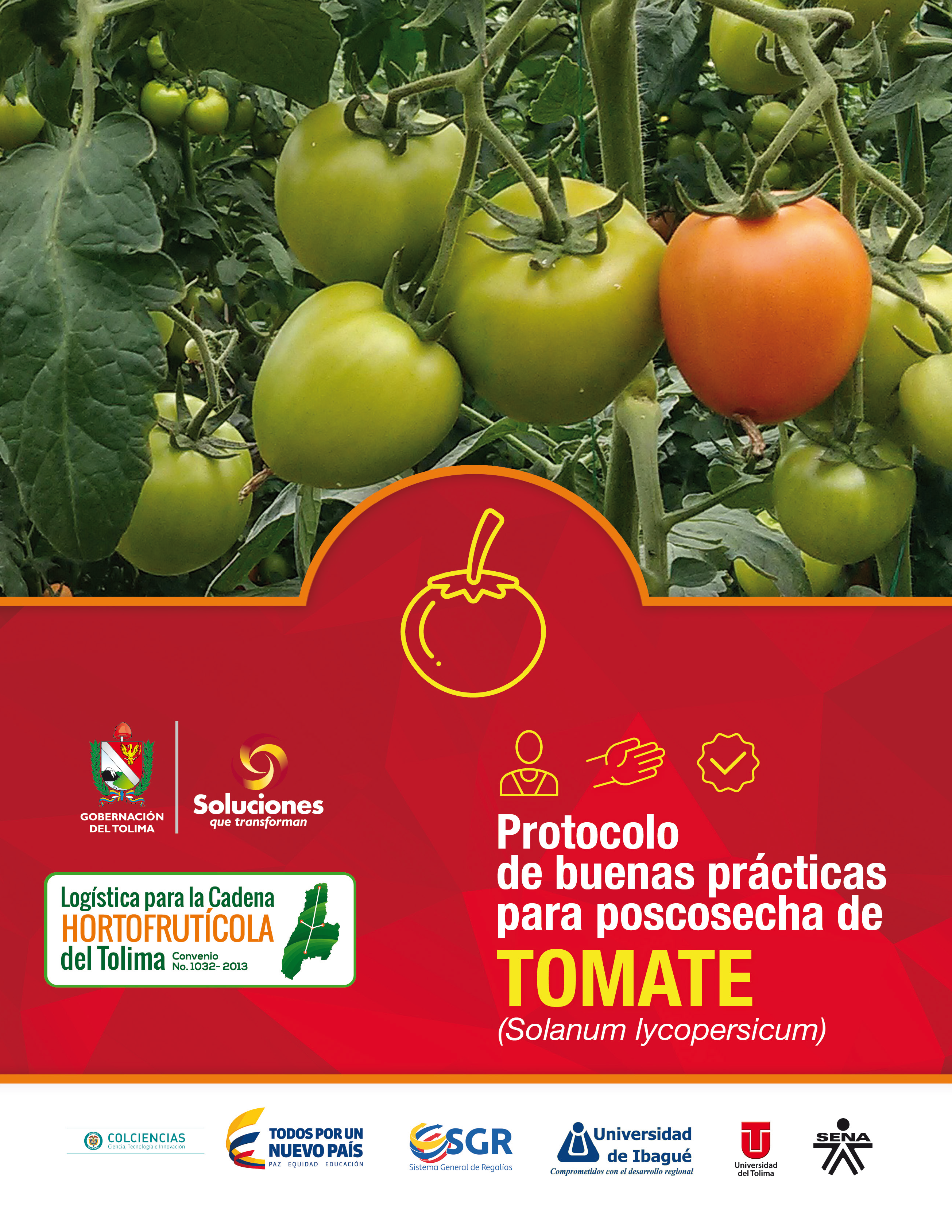Cover of Protocolo de buenas prácticas para poscosecha de tomate 